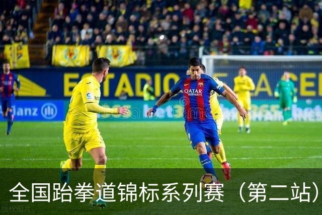 全国跆拳道锦标系列赛（第二站）第三日 冀晋浙苏各得一金