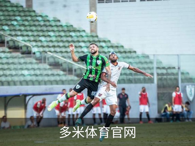 关于多米体育官网